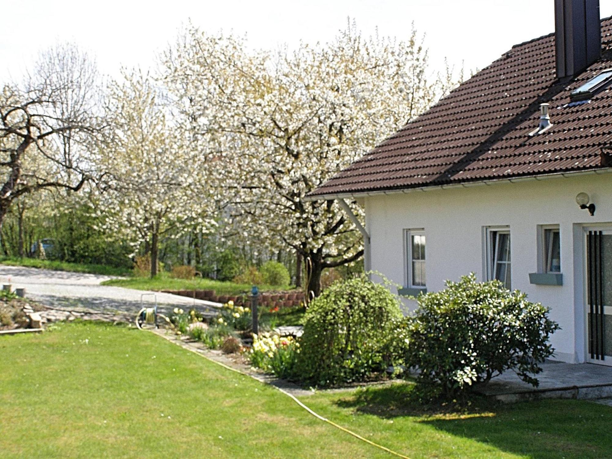 Welcoming Chalet Near Forest In 洛恩巴赫 外观 照片